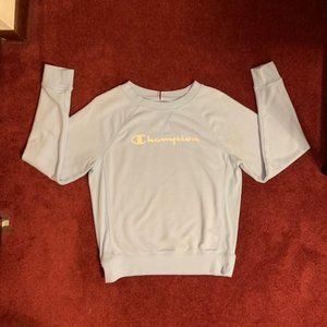 Champion Crew Neck Sweatshirt (womens small)